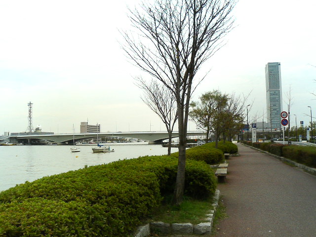 柳都大橋と朱鷺メッセ(遠景)